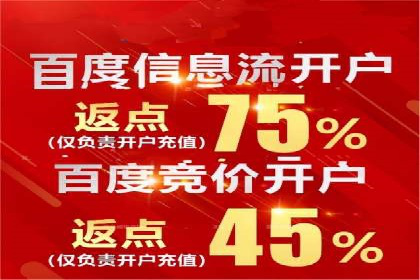 深度解析百度竞价公司的广告投放策略及效果